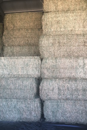 Lucerne hay for sale