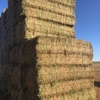 300mt Vetch Hay 650kg 8x4x3 Bales ex Paddock (NEW SEASON)