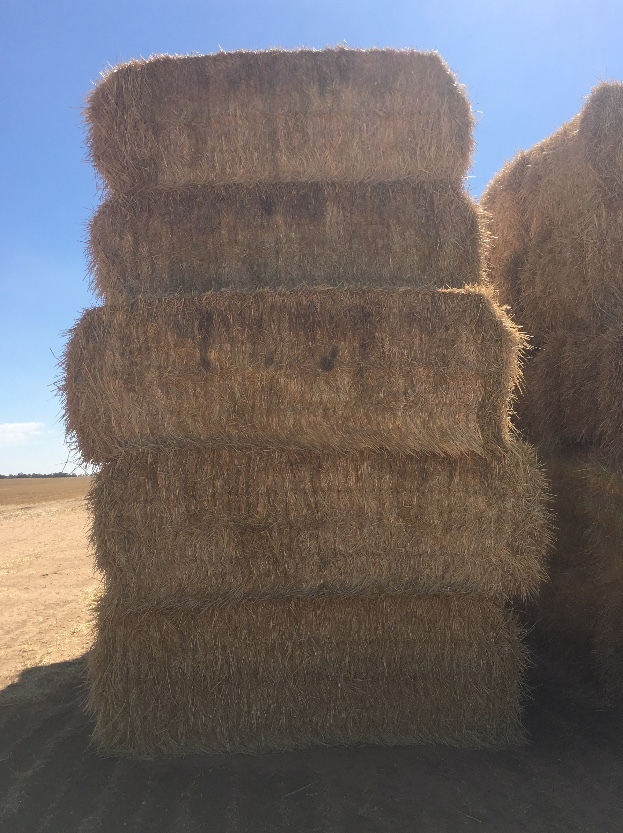 8x4x3 Straw Top Bales For Sale