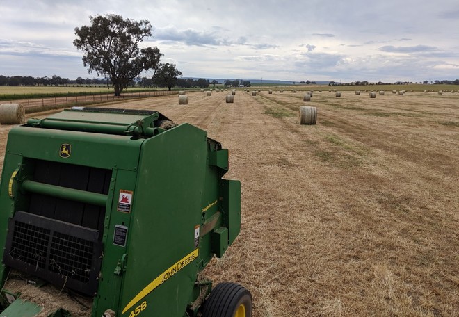 Ryegrass hay Approximately 200 Rolls Walla Walla - SOLD BY THE ROLL