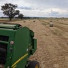 Ryegrass hay Approximately 200 Rolls Walla Walla - SOLD BY THE ROLL