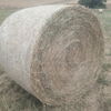 Lucerne & Rye Grass Hay 5x4 Round Bales
