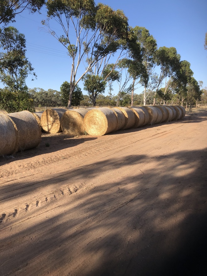 70 x Vetch/Rye/Wheat Hay 5x4 Rolls