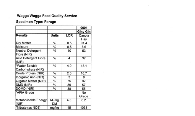 70mt Canola Hay 500kg 8x4x3 Bales