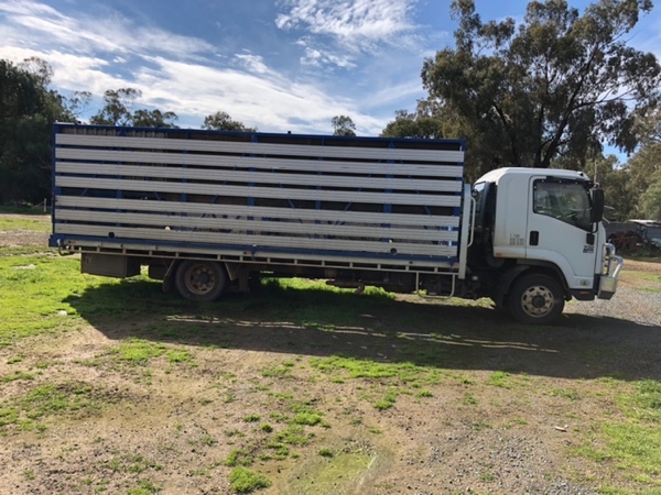 Isuzu Truck & Stock Crate