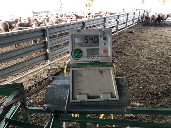 Ruddweigh Weigh Scales & Weigh Crate