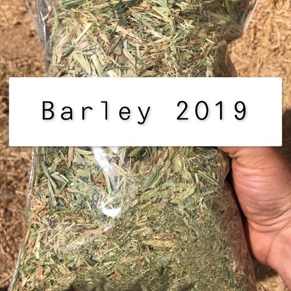 A1 Barley Hay 8x4x3 Bales