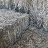 Irrigated Clover and Rye Small Square Bales