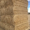 Wheaten Straw