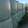 HAY RHODES GRASS .................4X4  ROUND....SMALL  SQUARE.....SILAGE   4X4R