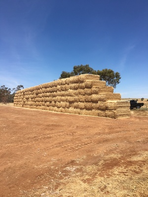   1000 mt Wheaten & Barley Straw  . Negotiable on large parcel