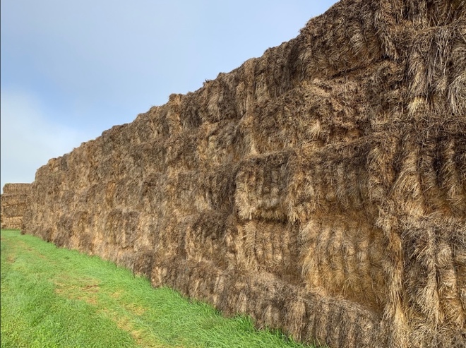 Oaten and Pasture Hay