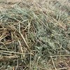 116mt Oaten Hay 513kg 8x4x3 Bales