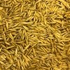 Graded Hay Oats for sale