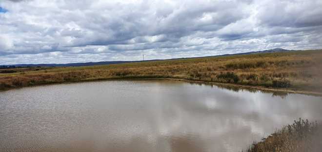 Cattle Agistment Available - 40 acres