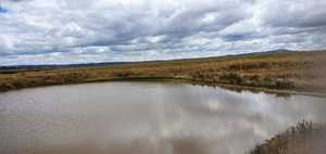 Cattle Agistment Available - 40 acres