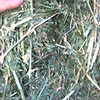 45  Bales Lucerne Hay in 8x4x3’s - SOLD PER Ton