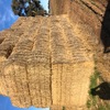 wheaten header tailings
