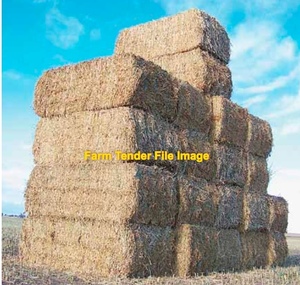 50mt Canola Hay 600-650kg approx. 8x4x3 Bales
