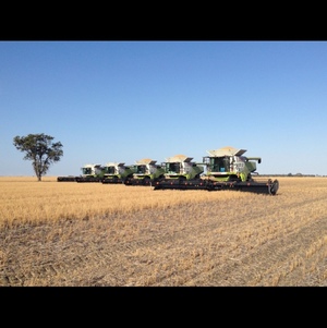 Contract Harvesting WANTED (Chaff Decks & Stripper Fronts)