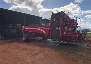 Grimme GT170 HIGH CAPACITY potato harvester