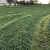 142 bales lucerne Hay bales 300/t  Ist and 2nd cut 2019