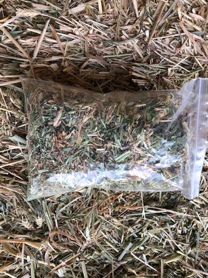 150mt Oaten Hay 650kg 8x4x3 Bales + Freight