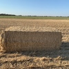 Wheaten Straw 450kg 8x4x3 Bales