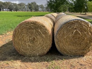 Lucerne Oaten Rounds 