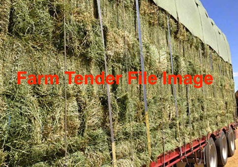 300 x Forage hay Small Squares