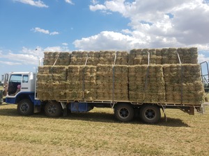 Lucerne 10 Pack, small squares Arcusin bundle