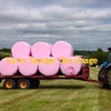 Oaten Silage  In Pink   $3.50  to Be donated / Bale to Breast Cancer