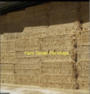 100 Bales of Wheaten Straw Windrowed 8x4x3