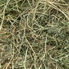 Pasture Hay Small Squares - Horse quality