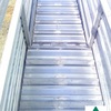 Cattle Ramp