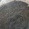 Oaten/Rye Hay - 4x4