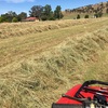 New season rye grass large round bales