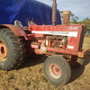 International 1256 Tractor