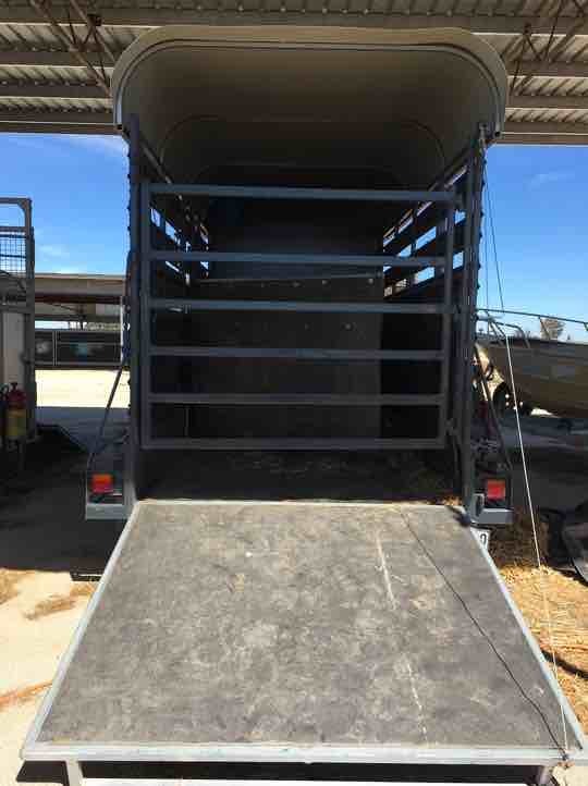 Tandem Axle Cattle/Horse Trailer