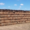 100mt Canola Hay 500kg approx 8x4x3 Bales