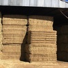 Vetch Hay Corowa See Feed Test