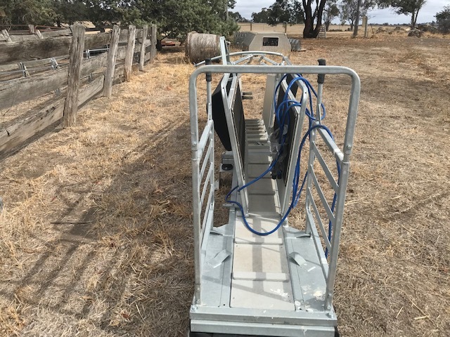 Hecton sheep handler