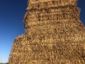100mt Wheaten Straw 450kg 8x4x3 Bales + Freight