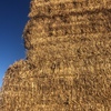 100mt Wheaten Straw 450kg 8x4x3 Bales + Freight