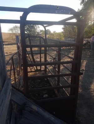 Cattle Crush / Head Bale