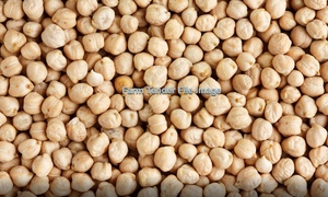 Chickpea Seed