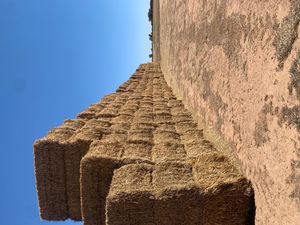 Wheaten Hay 8x4x3 New season