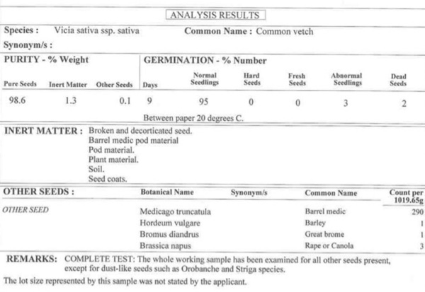Vetch Seed - 95% Germination Analysis