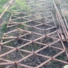 Diamond Harrows and harrow bar 