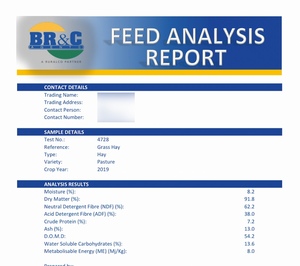 230mt Pasture Hay 8x4x3 Bales